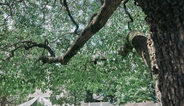 【2026年7〜8月限定】最大90万円優待スペシャルプラン