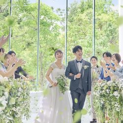 8月限定|透明感◎緑溢れるナチュラル挙式体験&ギフト2万*試食