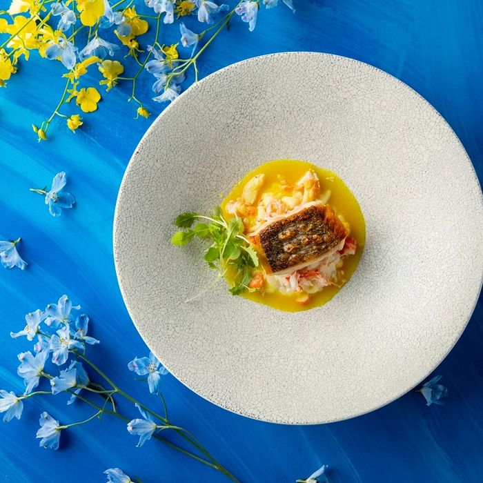 【料理重視の方に◎】ゲスト高評価96%獲得◆絶品ハーフコース美食