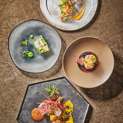 \4月11日限定/料理ランクUP特典×490年中村楼2万試食×1日1組貸切邸宅結婚式