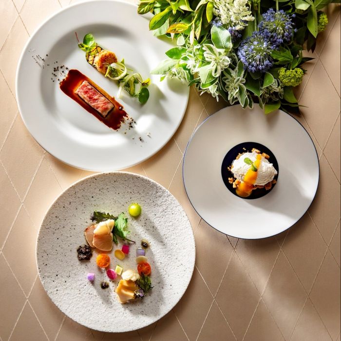 \料理重視必見!当フェア限定/絶品オマール×特製茶碗蒸し**