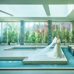 \憧れドレス見つけよう/衣裳総額50万円の成約特典プレゼント