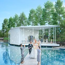 新年SP【ドレス試着×ホテル食事券】2チャペル見比べ徹底比較