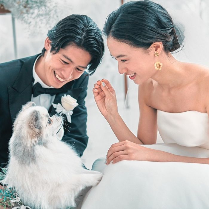 【ペットと一緒の結婚式】大切な家族と過ごすペット婚相談会