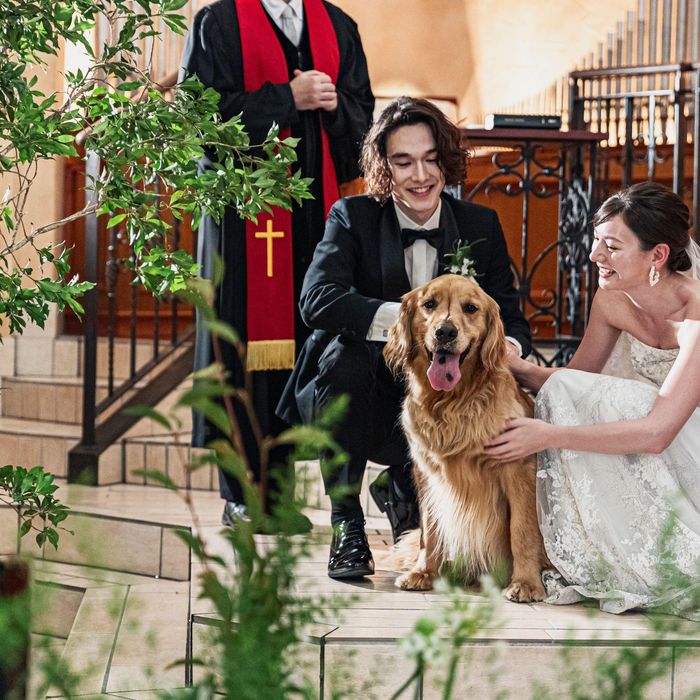 【わんダフル婚】<愛犬も同伴見学OK>リングドッグ体験&会場案内