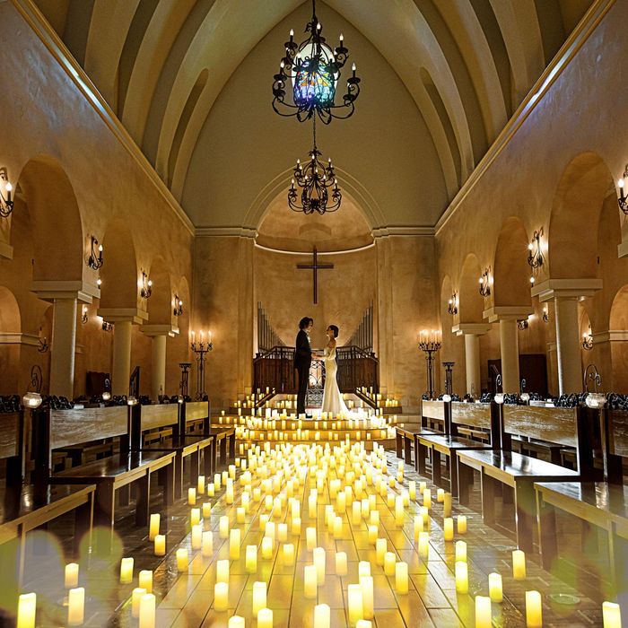 3連休限定|夢の国ペアチケ付【料理食べ比べ】フルコース試食