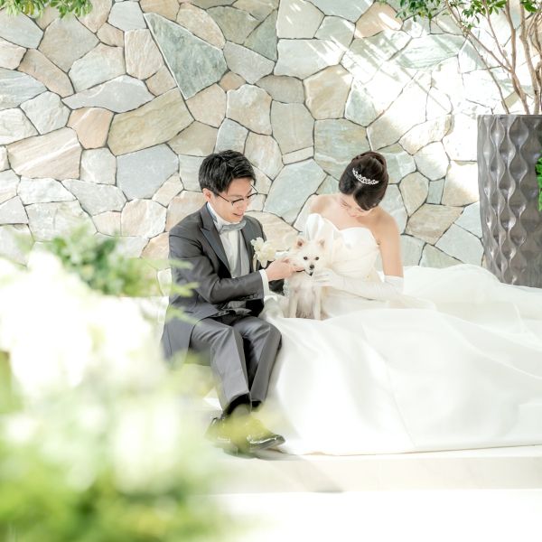 【自由なペット婚はお任せ!】ペットW相談&コース試食会