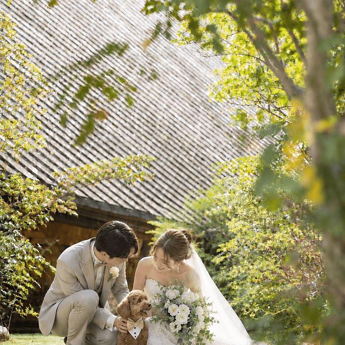 【愛犬と叶える結婚式】ペット婚まるわかり相談会&ALL体験
