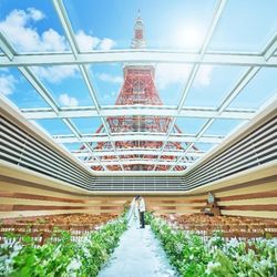 直前◎【連休限定】6.8万試食×最大150万優待