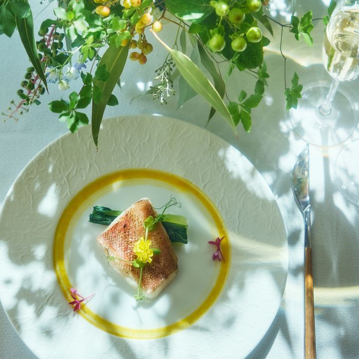 祝日SP【2万GIFT&150万特典】和牛×甘鯛×アワビ7品4万試食