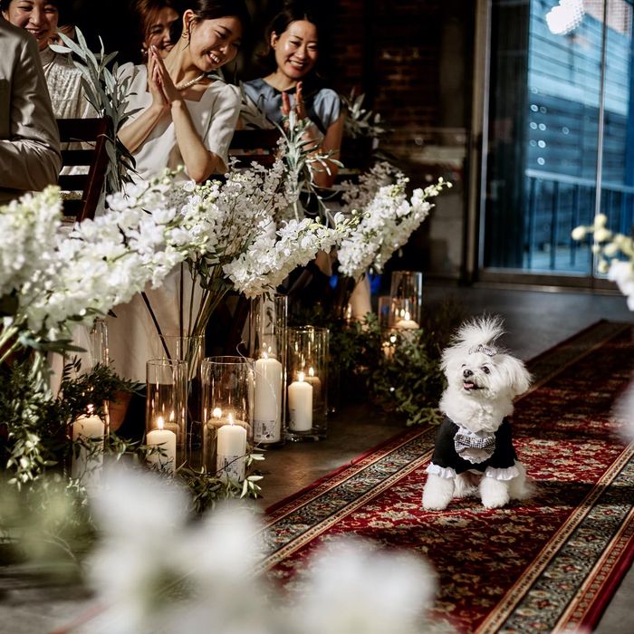 ✧愛犬・愛車OK✧大好きを詰め込んだ自由度重視Wedding相談会