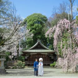来年4月迄の挙式希望◆60名165万円特典◆4万円分料理試食