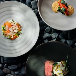 【週末限定◎料理重視】オマール海老*無料ハーフ試食×豪華特典