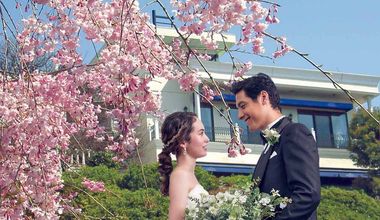 ≪完売間近≫【最大80万円特典】今注目の特別価格プラン★27年4月までの結婚式実施の方へ