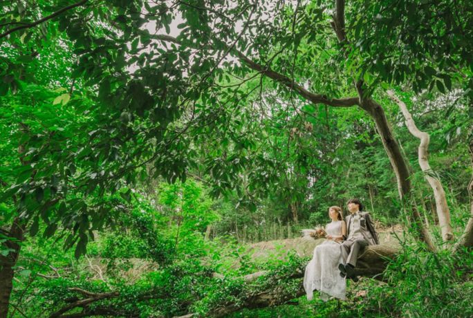 サンタ・アムール エテルニテ ~森の中の小さなwedding~のカバー写真