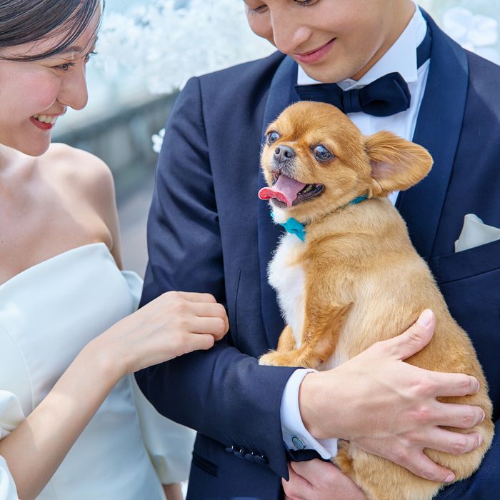 【リングドッグ演出が叶う結婚式】ガーデン付貸切邸宅体験フェア