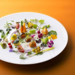 【年3回限定開催】限定コース試食 & この日のためだけに設えた特別コーディネートを体感 |<再開業15周年限定‐総額70万円以上特典>更にこのフェアだけのサプライズ特典付きプレミアムフェア