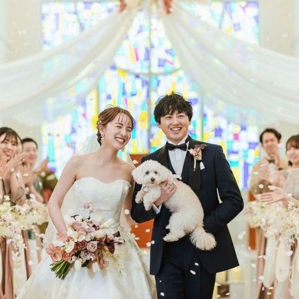 ð¶ããã倧æè¿*å
šé€šOKÃ貞åWeddingð±å°çšã±ãŒã&ãã©ã³&æŒåºäœéšâª