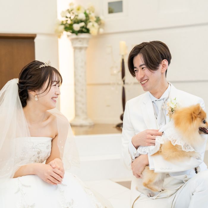 大切な家族と叶える♡ペットウエディング相談会