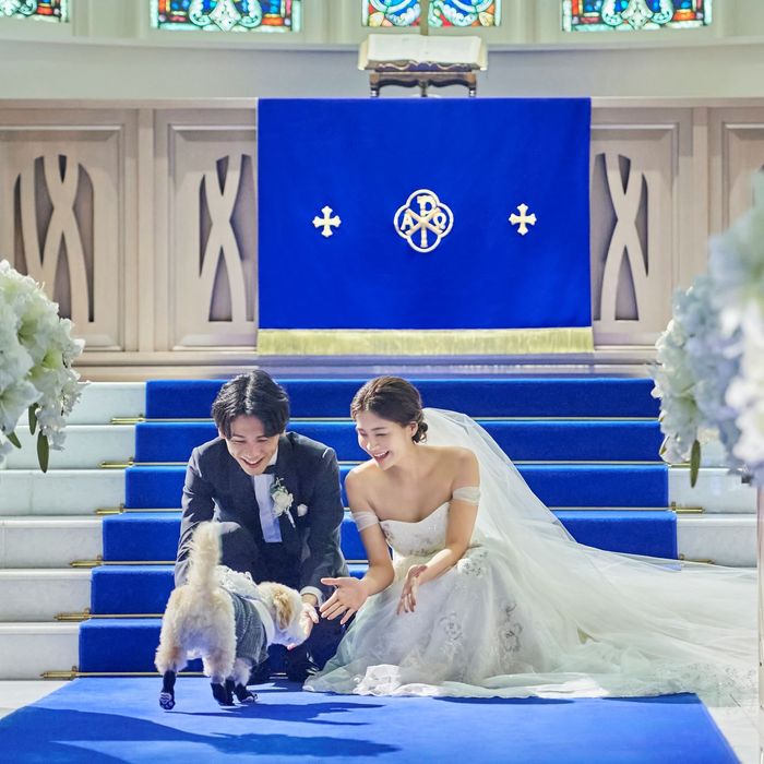 《挙式から披露宴までずっと一緒★》自由度抜群♪ペット婚相談会