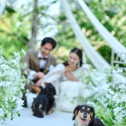 【愛犬と一緒に♪】大切な家族と叶える ‘挙式・フォト撮影’