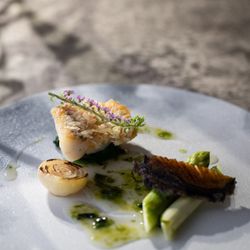 平日限定【お料理重視の方へ】口コミでも話題!シェフが贈る◆贅沢3品試食フェア