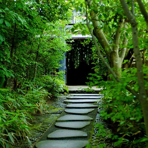 IMURIの公式写真2枚目