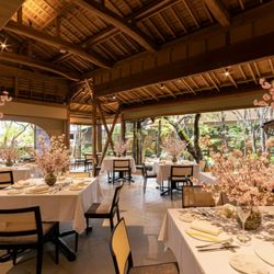 Innovative French Watahanのカバー写真