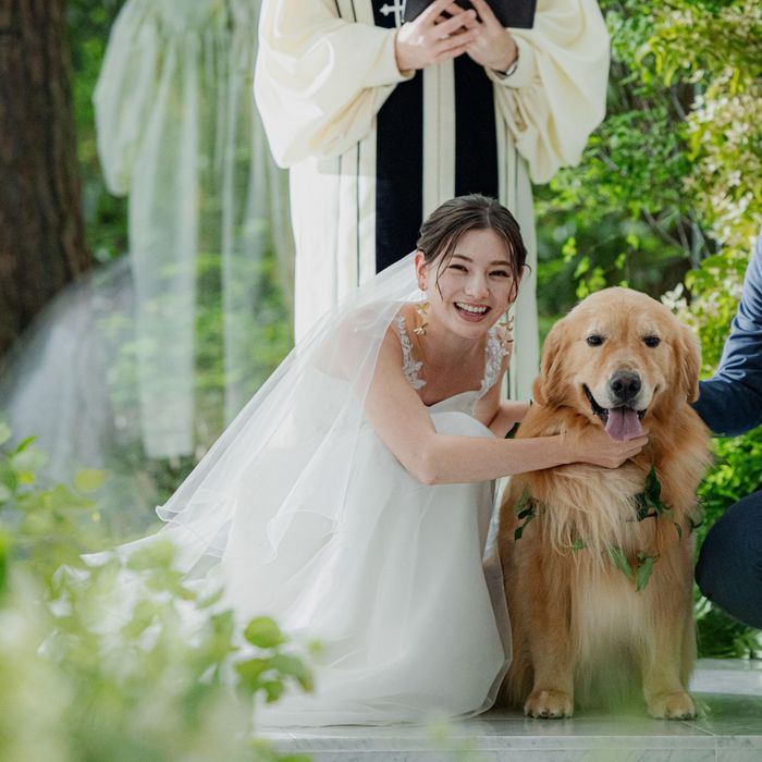 【わんダフル婚】<愛犬も同伴見学OK>リングドッグ体験&会場案内