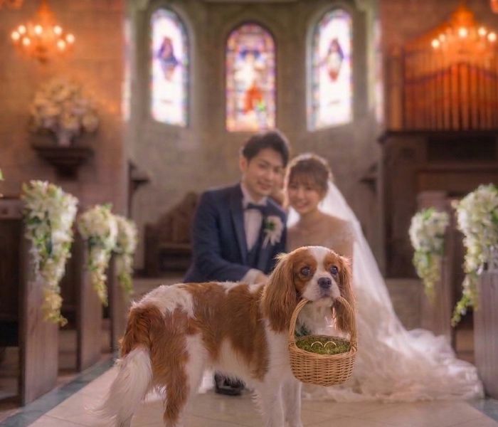 【ペット婚人気NO.1】愛犬と誓うリングドッグ演出×豪華試食フェア*最大15大特典付き
