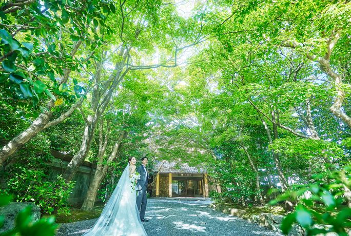 三瀧荘のカバー写真