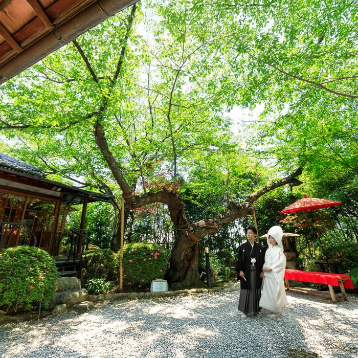 【当館人気NO.1】最大7大特典★「和の異人館」貸切ウェディング体感