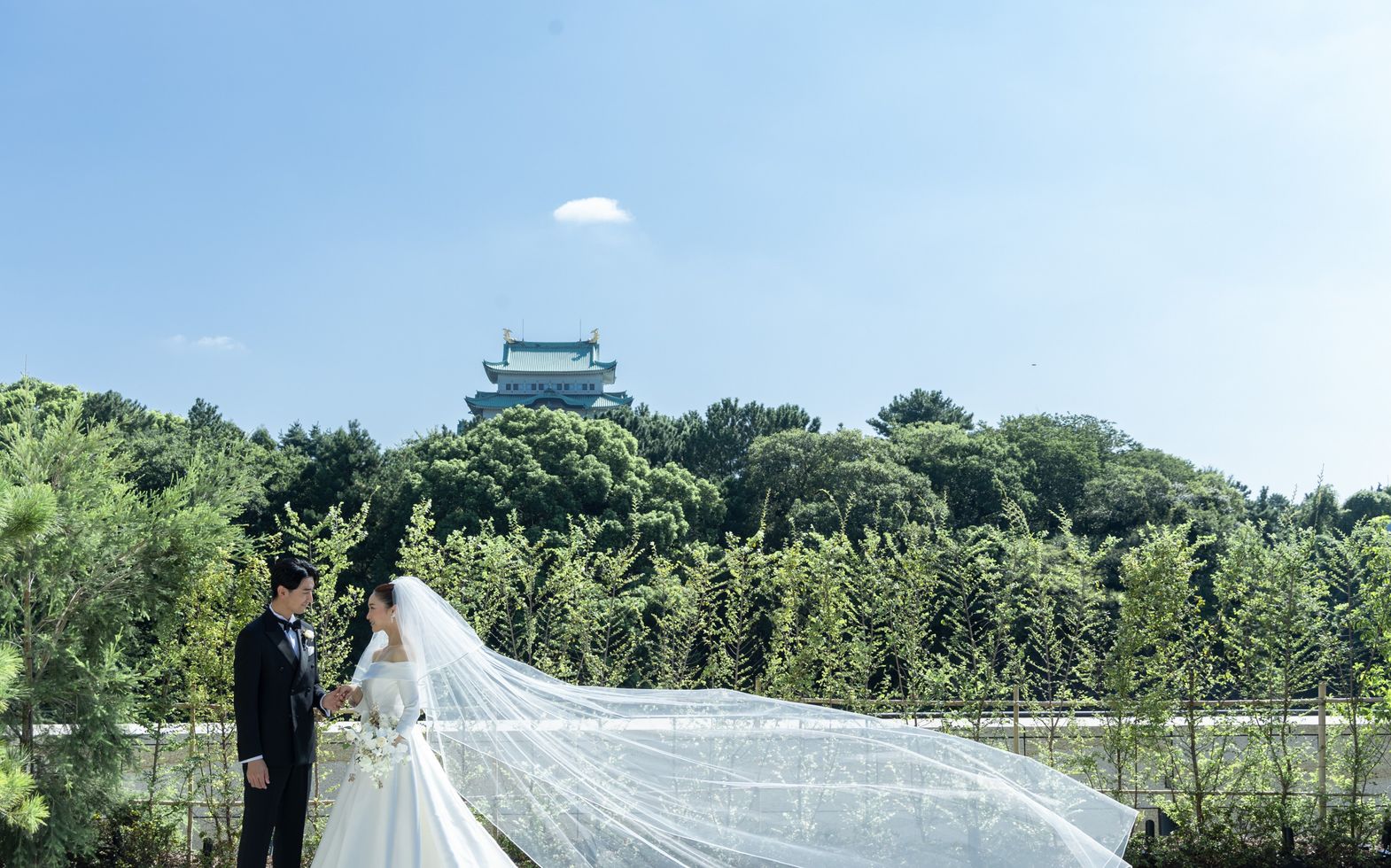 カバー写真