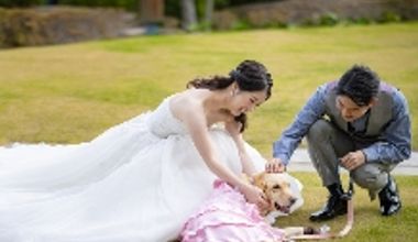 愛犬と撮影ができるフォトプラン