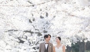 【2027年3~5月】憧れの桜&新緑を最優先確保!早割特典×じっくり準備で叶える春ウエディングプラン