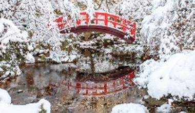 エルムガーデン 冬期間限定 絶景ロケーションウェディングプラン