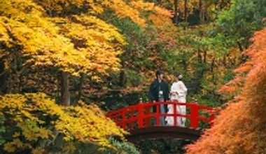 【エルムガーデン本館プラン】四季のウェディングパーティプラン