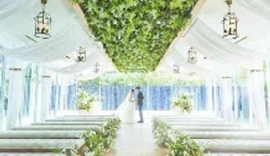 【2026年3月~4月ご希望の方へ】\50名71万円分特典/ 春プラン 更に10万円分演出特典付き!