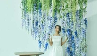 【じっくり準備を進めたいおふたりへ】2027年3月~5月\50名54万円分特典/春プラン!