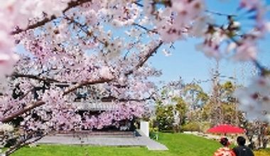 【2027年3月以降の挙式限定】人気シーズンは早めの予約が◎*早得プラン