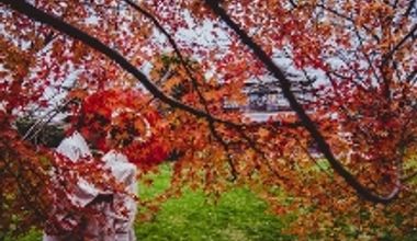 【2026年10月~11月】色づくガーデンが人気の秋婚プラン