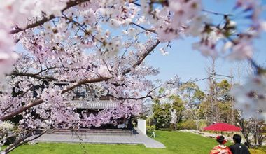 まだ間に合う*《2026年4月までの挙式限定》SP衣装特典付きプラン