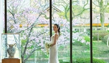 【期間限定】60名192万円◇10カ月以内なら*スペシャル割♪プレミアムプラン《最大74万円ご優待》