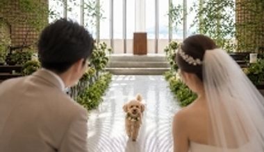 【大切な家族と大切な1日を♪】わんちゃん・ネコちゃん☆ペットと一緒に叶えるWedding