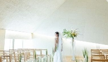 〈少人数早割プラン〉2026年9月~10月限定【40名221万円】最大71万円ご優待