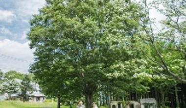 【2026年春のガーデンWプラン70名】4月~6月までの美しいガーデン挙式の6大プレゼント!