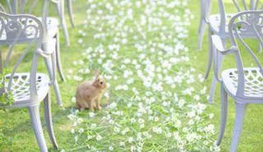 【30名68万】10・11月限定の autumnプラン