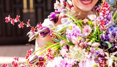 【2026-春限定】桜咲くスプリングプラン