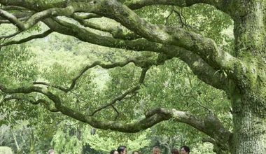 【最大90万円ご優待】2026年7~8月挙式ご検討の方へ★サマープラン