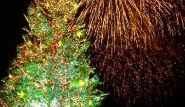 【冬季限定 花火鑑賞プラン】クリスマスウエディングプラン☆